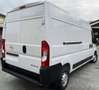 Fiat Ducato OPEL Movano 2.2 140cv LH2 - OMAGGIO RIVESTIMENTO Blanc - thumbnail 3