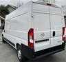 Fiat Ducato OPEL Movano 2.2 140cv LH2 - OMAGGIO RIVESTIMENTO Blanc - thumbnail 4