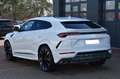 Lamborghini Urus LP650 *PANO*VoLL*23*Q-Citura*Mietkauf* Weiß - thumbnail 3
