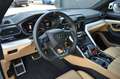 Lamborghini Urus LP650 *PANO*VoLL*23*Q-Citura*Mietkauf* Weiß - thumbnail 8