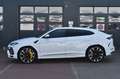 Lamborghini Urus LP650 *PANO*VoLL*23*Q-Citura*Mietkauf* Weiß - thumbnail 2