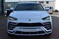 Lamborghini Urus LP650 *PANO*VoLL*23*Q-Citura*Mietkauf* Weiß - thumbnail 7