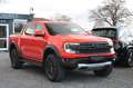 Ford Ranger Raptor 3.0l 4WD PERFORMANCE MATRIX ACC 292 PS! Rot - thumbnail 3