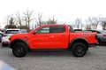 Ford Ranger Raptor 3.0l 4WD PERFORMANCE MATRIX ACC 292 PS! Rot - thumbnail 7