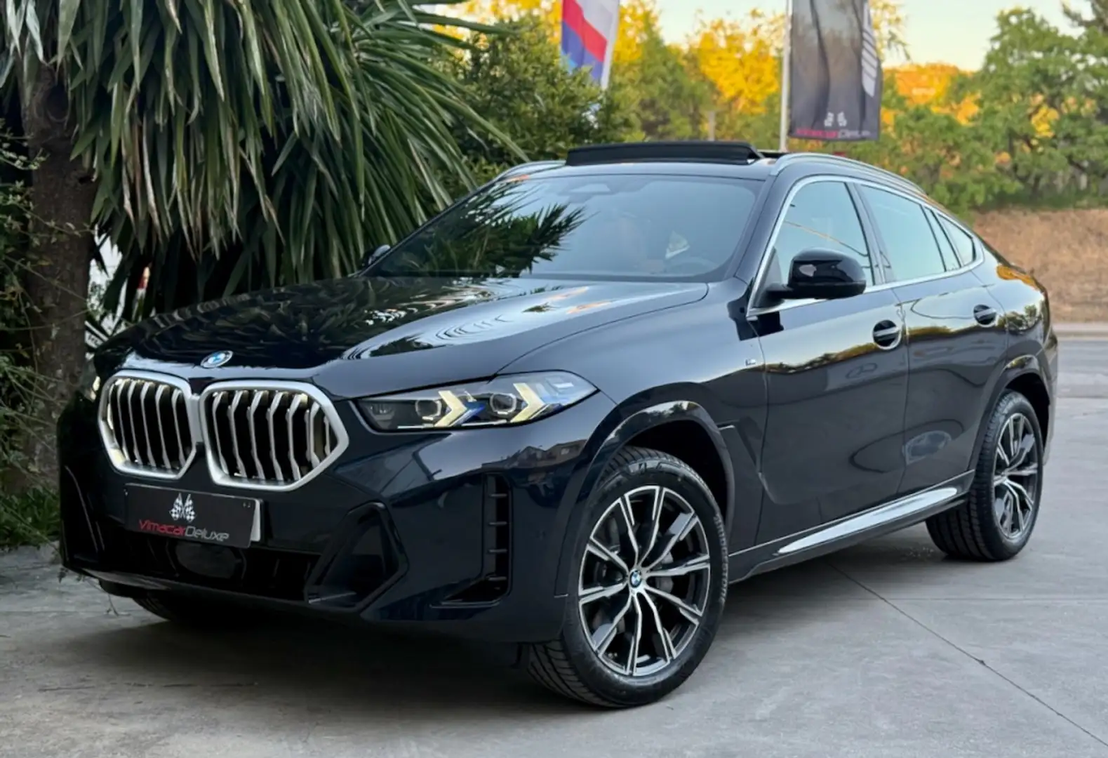 BMW X6 xDrive 30dA M Sport Azul - 2