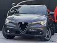 Alfa Romeo Stelvio Alfa Romeo Stelvio 2.2 T Ti Q4 210CV TETTO Grigio - thumbnail 15