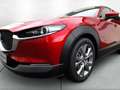 Mazda CX-30 SKYACTIV-G 2.0 150PS M Hybrid ++AUTOMATIK++ Select Rot - thumbnail 2