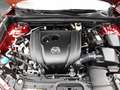 Mazda CX-30 SKYACTIV-G 2.0 150PS M Hybrid ++AUTOMATIK++ Select Rot - thumbnail 15