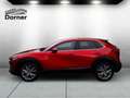 Mazda CX-30 SKYACTIV-G 2.0 150PS M Hybrid ++AUTOMATIK++ Select Rot - thumbnail 3