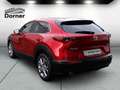 Mazda CX-30 SKYACTIV-G 2.0 150PS M Hybrid ++AUTOMATIK++ Select Rot - thumbnail 4