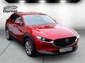 Mazda CX-30 SKYACTIV-G 2.0 150PS M Hybrid ++AUTOMATIK++ Select Rot - thumbnail 5