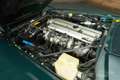 Jaguar XJS Cabriolet | 1995 Grün - thumbnail 19