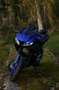 Yamaha YZF-R125 Blauw - thumbnail 5