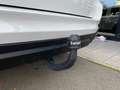 BMW X5 X5 xDrive25d Experience Rif. Antonio Weiß - thumbnail 25