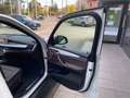 BMW X5 X5 xDrive25d Experience Rif. Antonio Weiß - thumbnail 20
