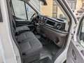 Ford Transit 350 2.0 170CV RWD PM-RG   ribaltabile  gemellato Blanc - thumbnail 14
