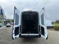Ford Transit Kasten 350 MHEV  L4 Trend Navi Weiß - thumbnail 6