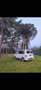 Volkswagen Bus Camperbus Weiß - thumbnail 3