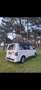 Volkswagen Bus Camperbus Weiß - thumbnail 2