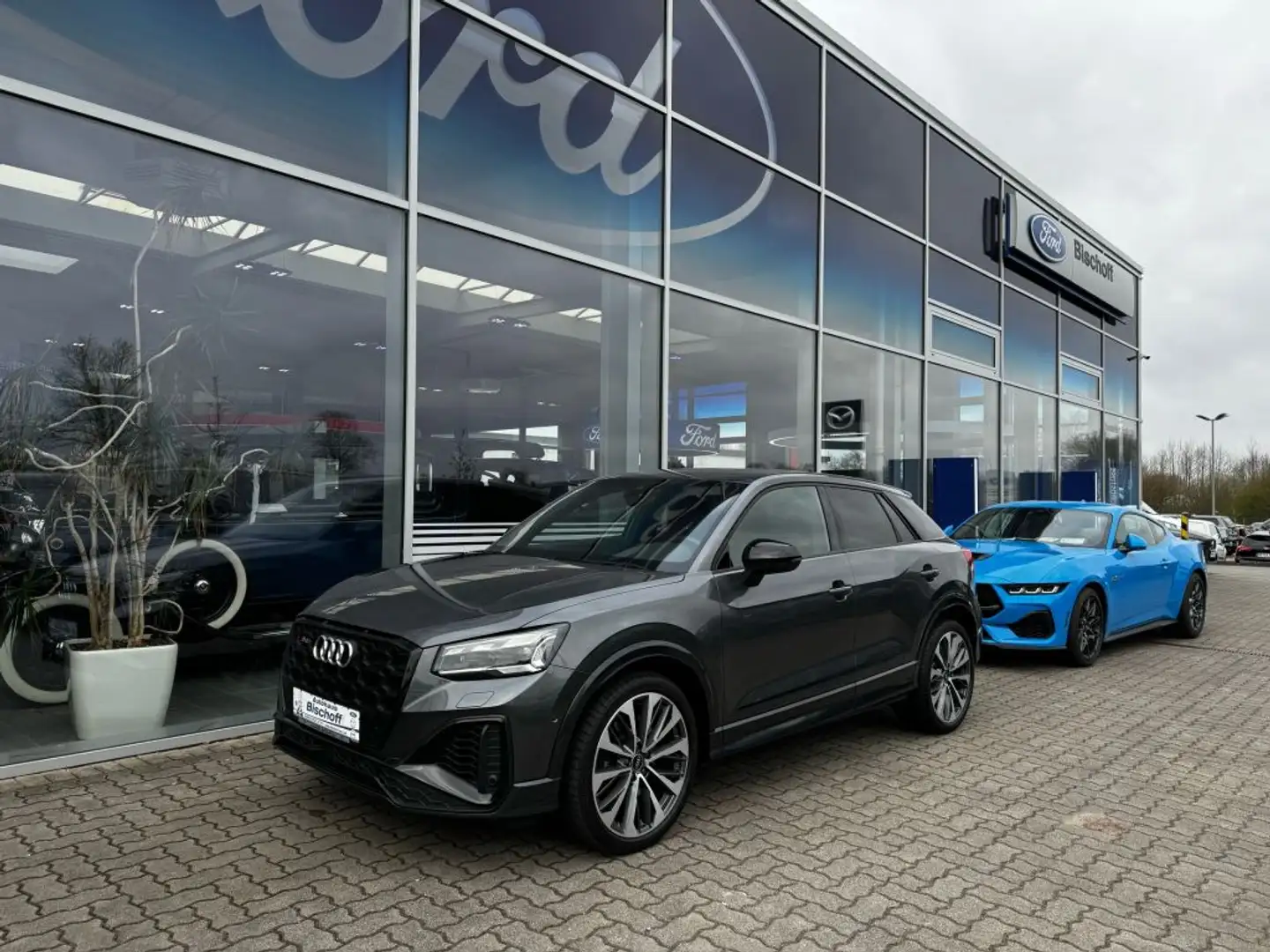 Audi SQ2 TFSI quattro S tronic LED, WKR Audi, S-Line Gris - 2