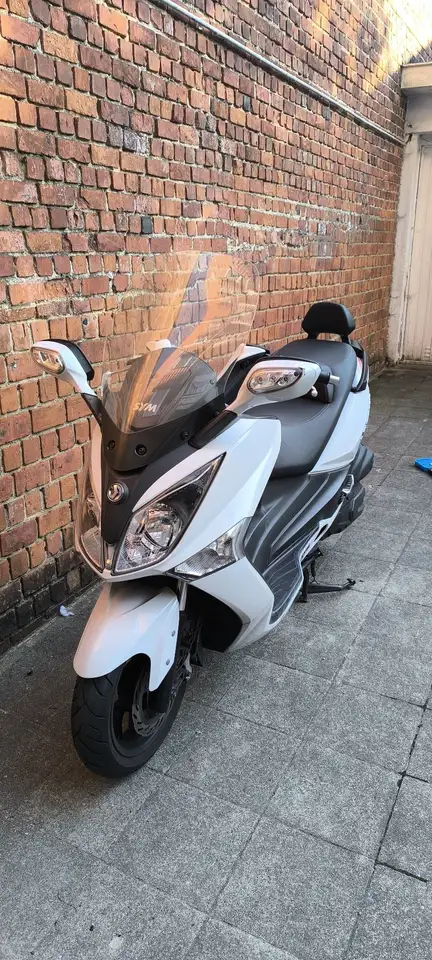 Sym Joymax 300