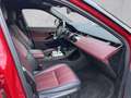 Land Rover Range Rover Evoque Diesel D240 R-Dynamic HSE Park-Assistent Rot - thumbnail 3