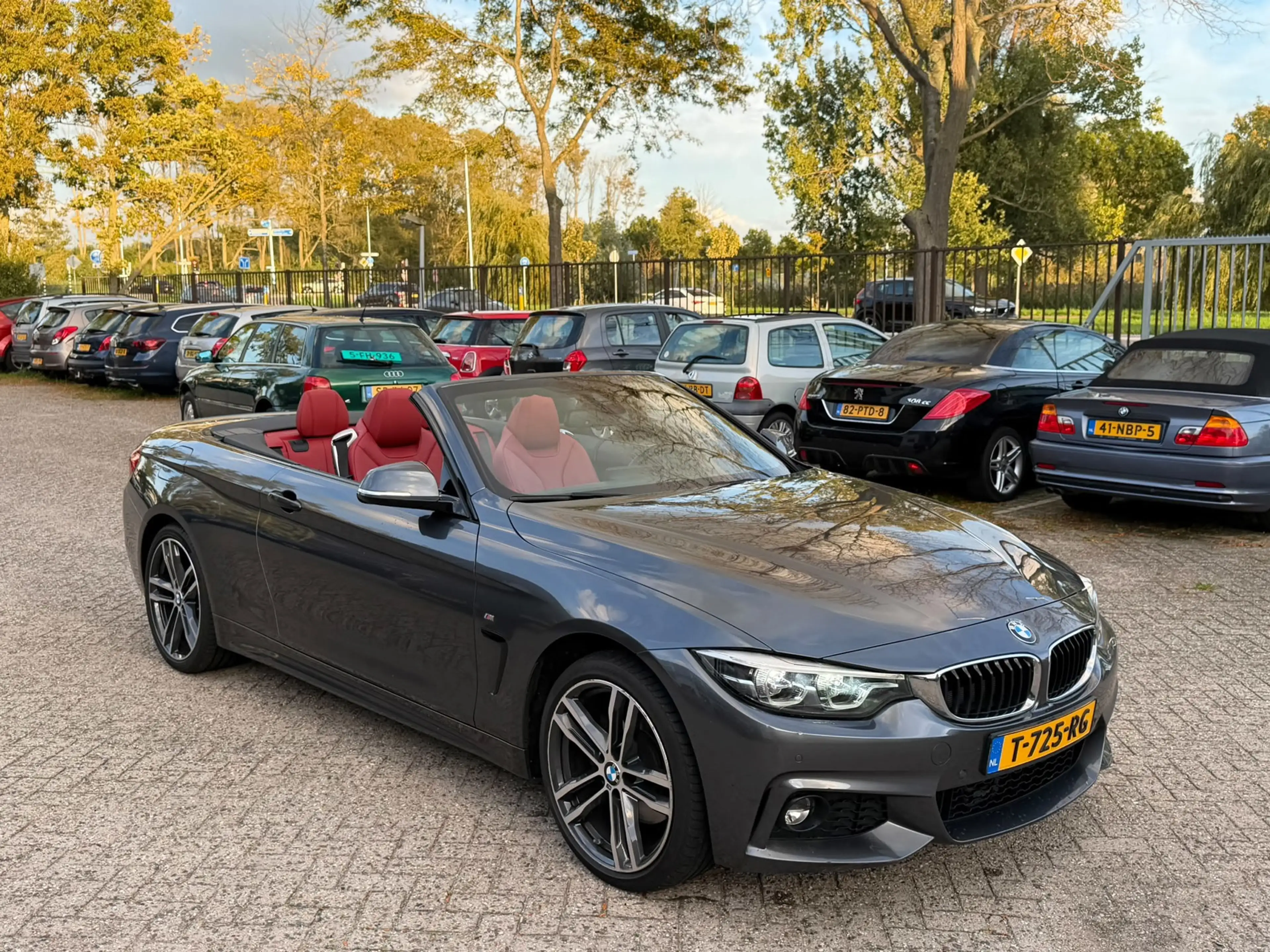 BMW 430 4-serie Cabrio 430i xDrive High Executive - Leder — photo 9