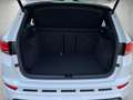 CUPRA Ateca 2.0 TSI 4Drive DSG *BEATS*AHK*ACC* Weiß - thumbnail 5