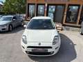 Fiat Punto Punto 5p 1.3 mjt Street s - thumbnail 1