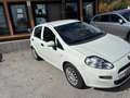 Fiat Punto Punto 5p 1.3 mjt Street s - thumbnail 2