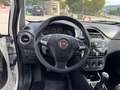 Fiat Punto Punto 5p 1.3 mjt Street s - thumbnail 7
