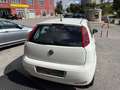 Fiat Punto Punto 5p 1.3 mjt Street s - thumbnail 6
