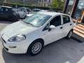 Fiat Punto Punto 5p 1.3 mjt Street s - thumbnail 4