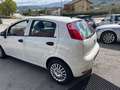Fiat Punto Punto 5p 1.3 mjt Street s - thumbnail 3