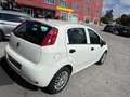 Fiat Punto Punto 5p 1.3 mjt Street s - thumbnail 5
