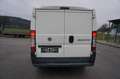 Fiat Sedici Ducato 28 115 Multijet L1H1 Weiß - thumbnail 4