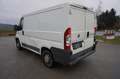 Fiat Sedici Ducato 28 115 Multijet L1H1 Weiß - thumbnail 3