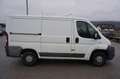 Fiat Sedici Ducato 28 115 Multijet L1H1 Weiß - thumbnail 6