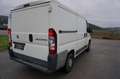 Fiat Sedici Ducato 28 115 Multijet L1H1 Weiß - thumbnail 5