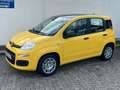 Fiat Panda 1.0 GSE Pandina Hybrid Dach schwarz Gelb - thumbnail 1