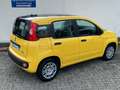 Fiat Panda 1.0 GSE Pandina Hybrid Dach schwarz Gelb - thumbnail 5