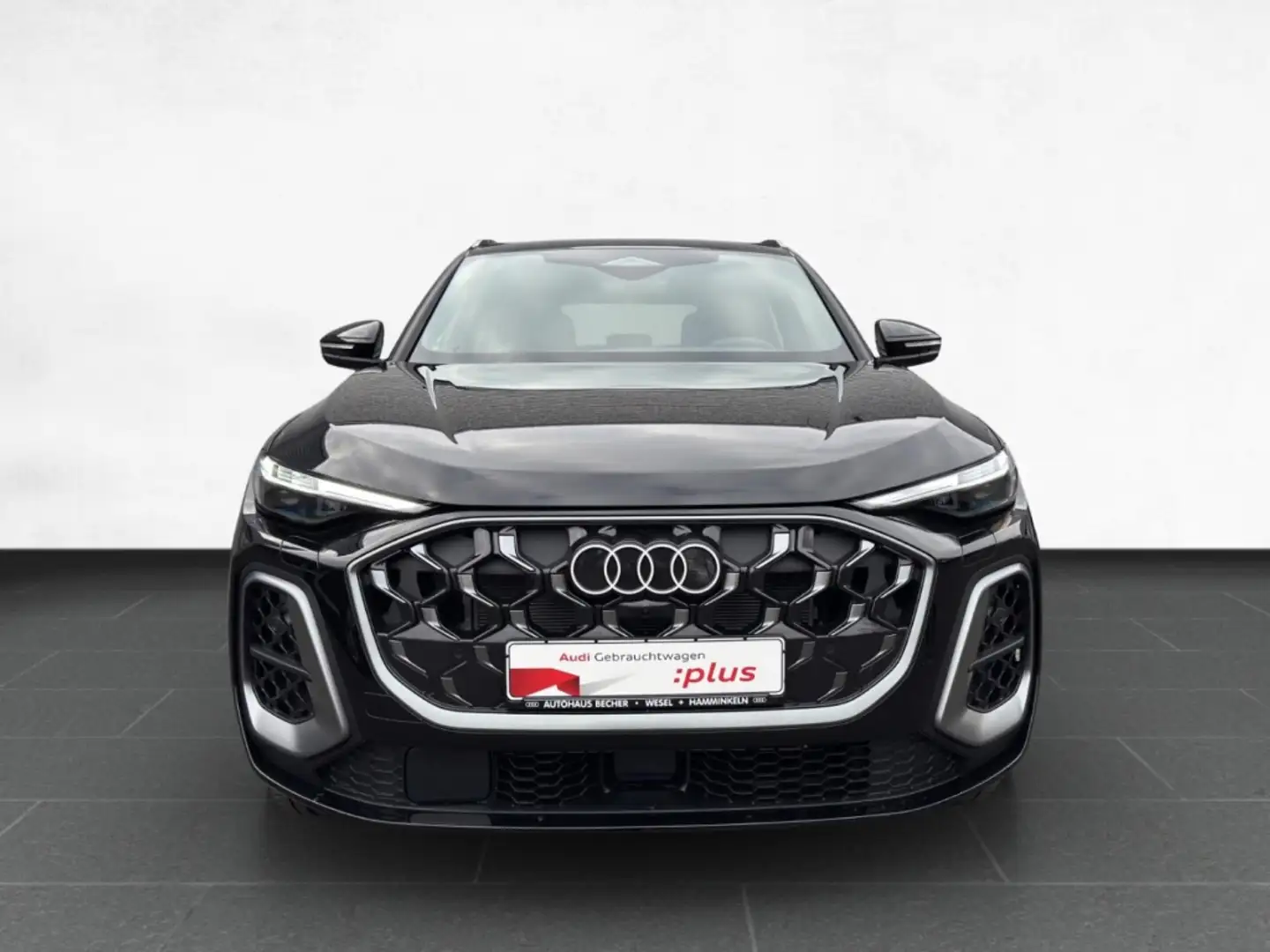 Audi Q5 TDI 150 kW quattro S-line /Navi/HuD/Matrix Schwarz - 2
