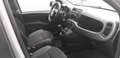 Fiat Panda Panda III 2016 1.2 Lounge s Ok  per Neo-Patentati Grijs - thumbnail 9