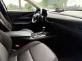 Mazda CX-30 2.0 e-SkyActiv-X M Hybrid Luxury Grigio - thumbnail 11