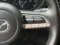Mazda CX-30 2.0 e-SkyActiv-X M Hybrid Luxury Grigio - thumbnail 29