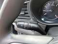 Mazda CX-30 2.0 e-SkyActiv-X M Hybrid Luxury Grigio - thumbnail 31