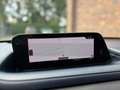 Mazda CX-30 2.0 e-SkyActiv-X M Hybrid Luxury Grigio - thumbnail 22