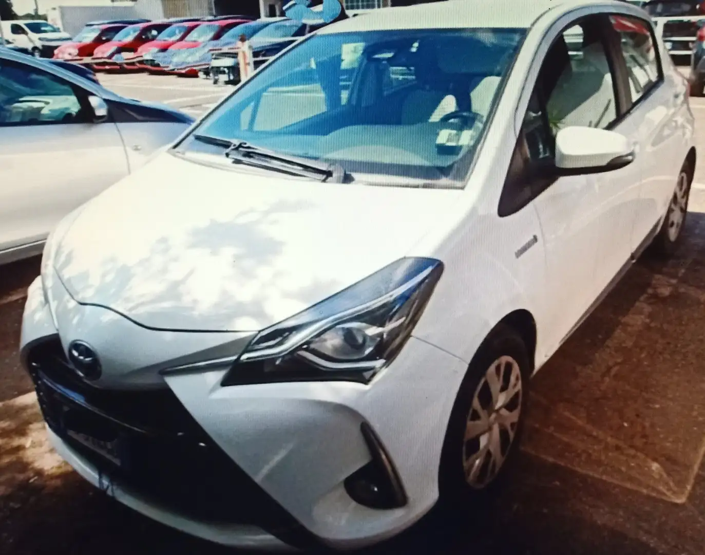 Toyota Yaris 5p 1.5 Business HYBRID (Prezzo Reale) Bianco - 1