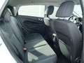 Ford Fiesta 1.0 EcoBoost Titanium 5-t 74kW 100PS Bianco - thumbnail 10