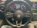 Alfa Romeo Stelvio 2.2 Turbodiesel 160 CV AT8 RWD Business Rosso - thumbnail 12
